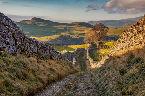 Featured image for Spring in the Yorkshire Dales