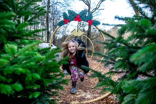 Featured image for 12 Days of Christmas at Bolton Abbey