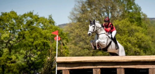 Featured image for Chatsworth Internarial Horse Trails